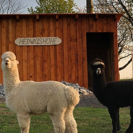 Urlaub Auf Dem Bauernhof Hedwigshoehe Хонщайн Екстериор снимка
